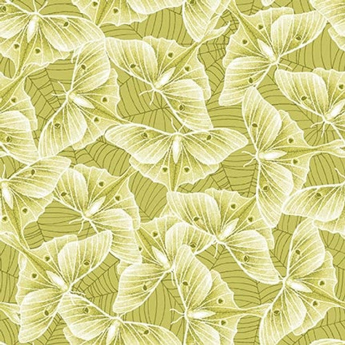 Studio E Fabrics - Hallowed Forest - Luna Moths Texture