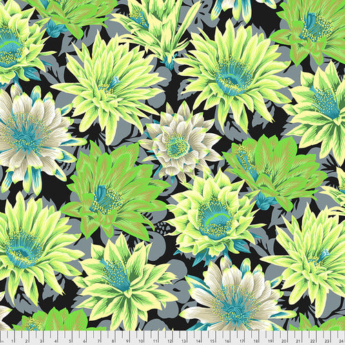 FreeSpirit Fabrics - Kaffe Fassett Collective - Cactus Flower - Contrast