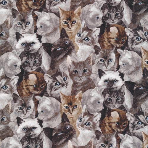 Paintbrush Studio - My Pet Family - Cat Faces - Grey